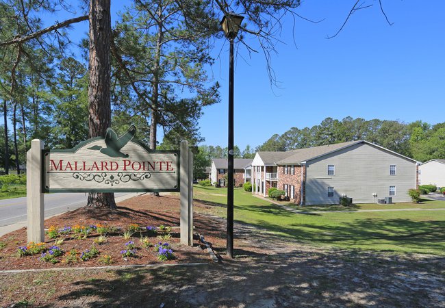 beautiful view with Mallard Pointe Apartments sign located in Columbia, SC