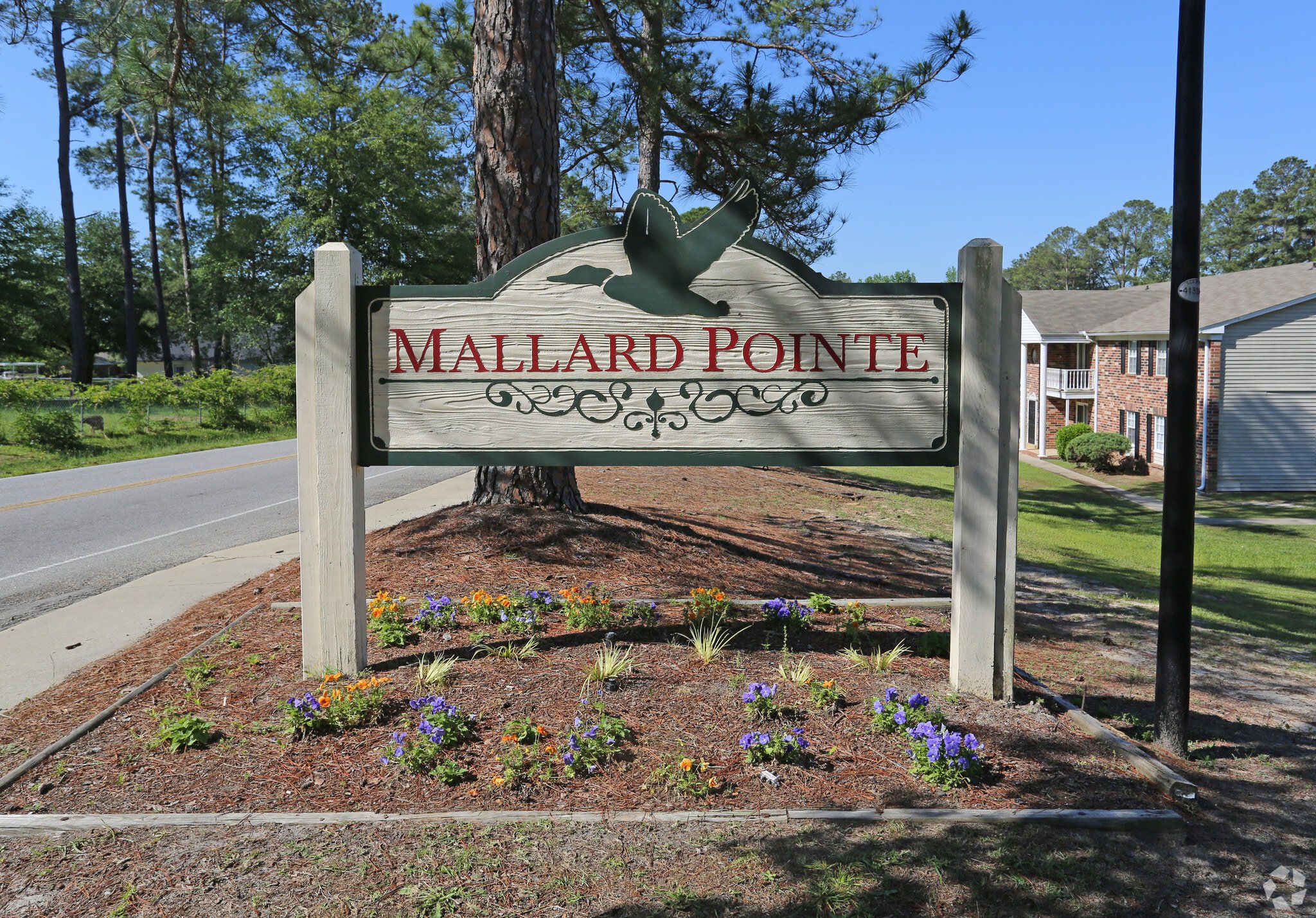 beautiful view with Mallard Pointe Apartments sign located in Columbia, SC